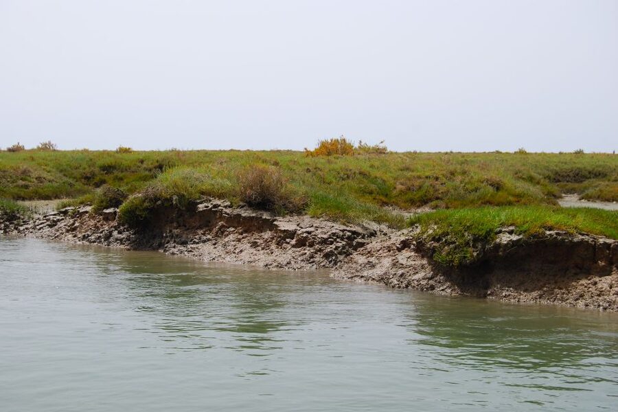 Faro: Ria Formosa Lagoon Small Boat Tour with Local Guide - Faro’s Old Town Walls From the Water: The Best “Orientation” Moment