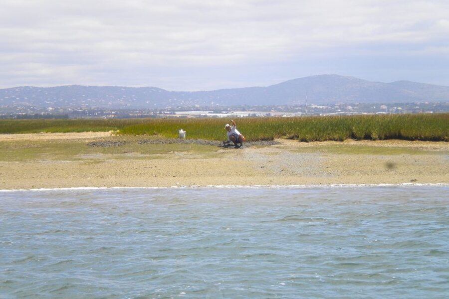 Faro: Ria Formosa Lagoon Small Boat Tour with Local Guide - Guides Make It Worth It, From Humor to Clear Explanations