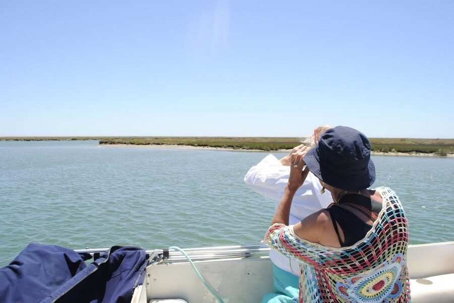 Faro: Ria Formosa Lagoon Small Boat Tour with Local Guide - Price and Value: Is $29 for a Guided Lagoon Hour a Good Deal?
