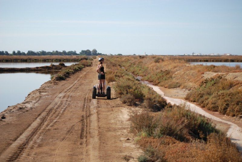 Faro: Ria Formosa Natural Park Segway Tour & Birdwatching - Ludo birdwatching near Faro Beach during migration seasons