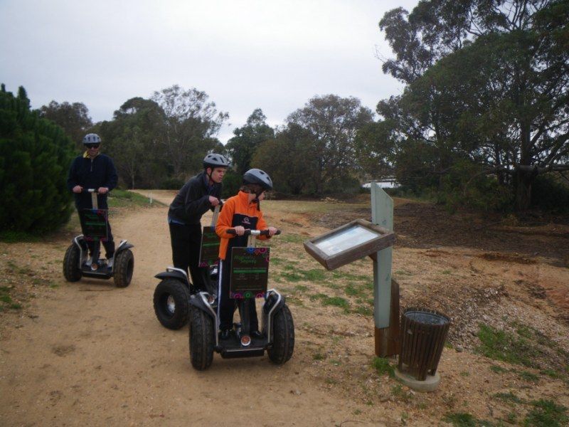 Faro: Ria Formosa Natural Park Segway Tour & Birdwatching - Price and value: is $66 per person fair for Segway + binocular birdwatching?