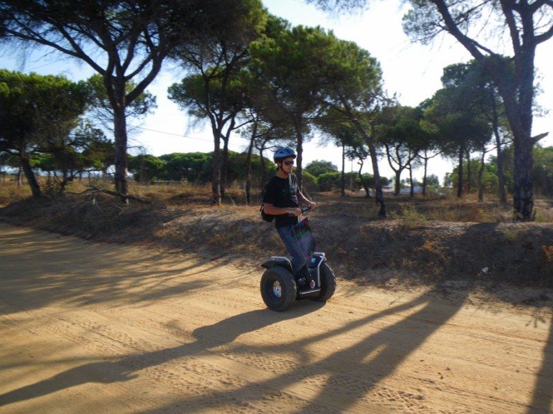 Faro: Ria Formosa Natural Park Segway Tour & Birdwatching - Should you book the Faro Ria Formosa Segway and Birdwatching tour?