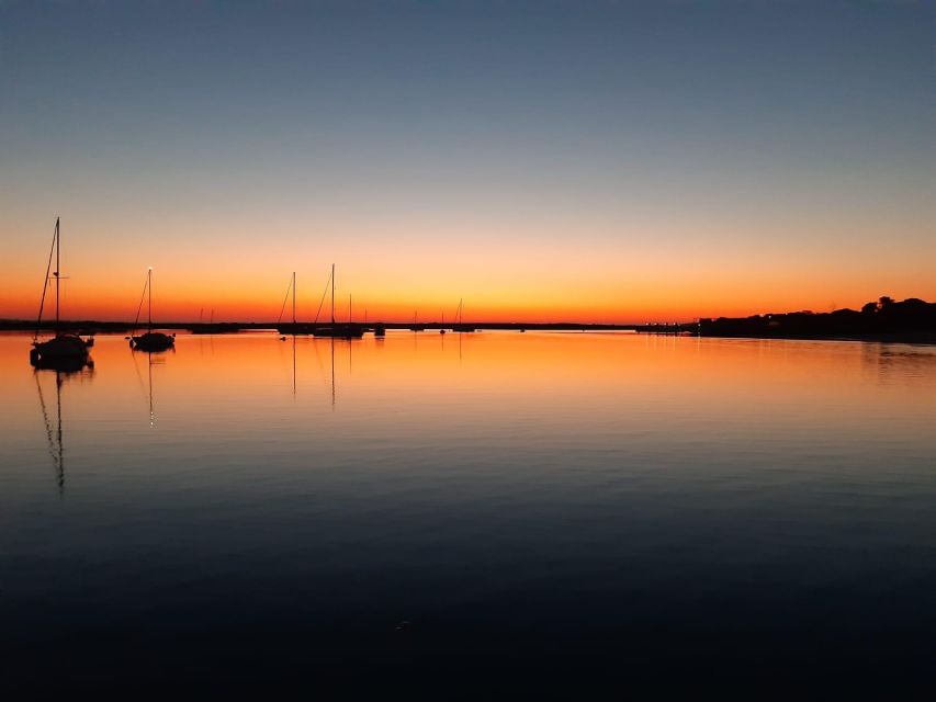 Faro: Ria Formosa Sunset Nature Boat Tour - Why the Ria Formosa sunset cruise feels like Faro on slow mode
