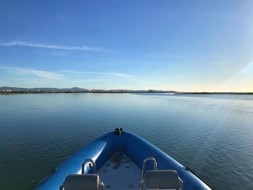 Faro: Speed Boat Tour - A Speed-Boat Route Through Ria Formosa That Fits Real Schedules