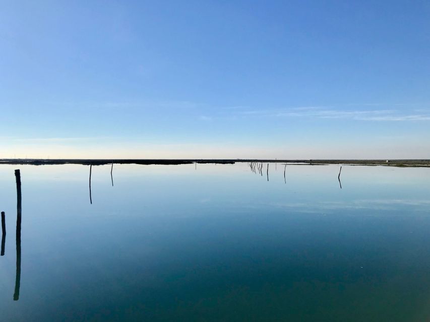 Faro: Speed Boat Tour - Praia da Ilha Deserta: Deserted Beaches Feel Bigger Than the Time Slot