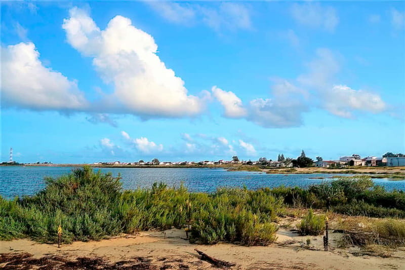 Faro: Sunset 1 hour Ria Formosa Boat Tour - Islands and lighthouse-area stops: where the short visits pay off