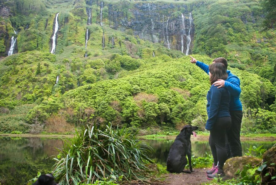 Flores Island: Full-Day Guided Tour with Lunch - Getting Picked Up: Santa Cruz or Fajã Grande, Plus Many Stops