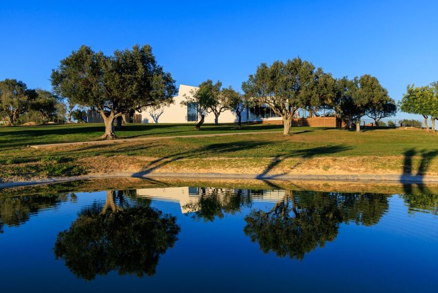 From Albufeira: 4x4 Off-Road Safari & Vineyard Wine Tasting - Should You Book Alsafari Tours for a Short Algarve Escape?