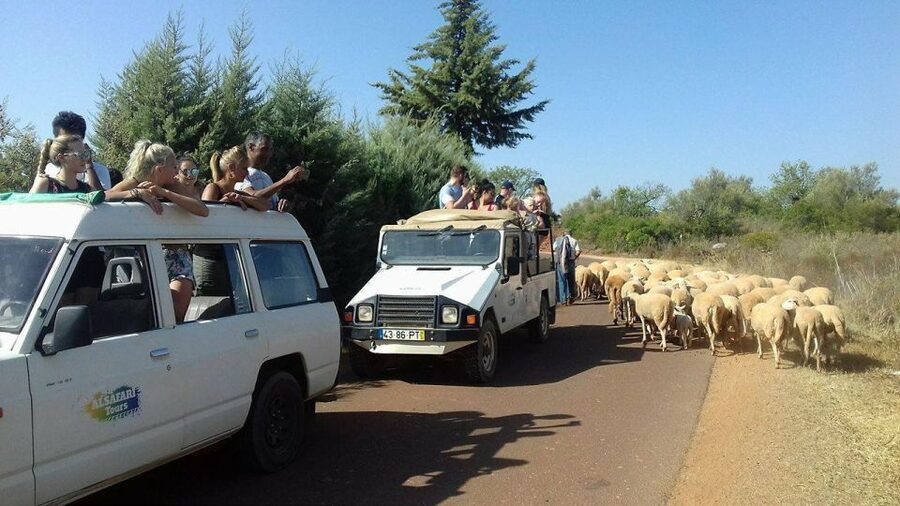 From Albufeira: 4x4 Off-Road Safari & Vineyard Wine Tasting - Why This 4x4 Safari and Vineyard Tasting Feels More Like Portugal