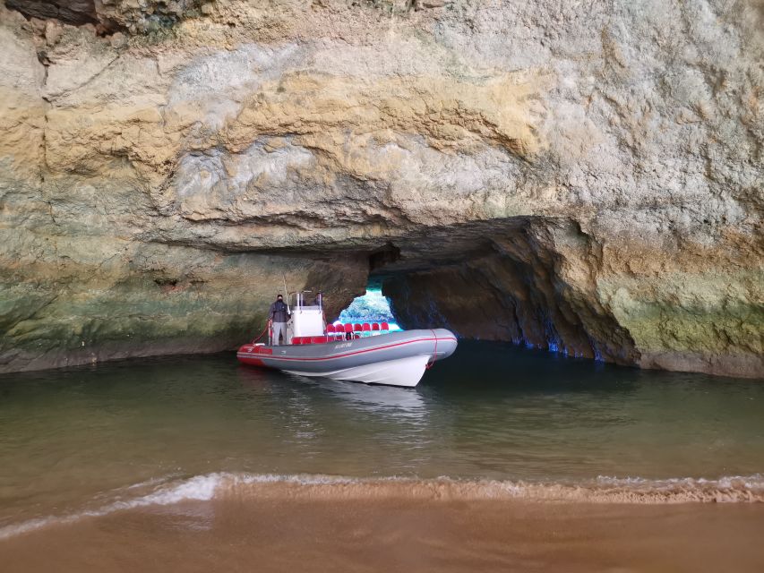 From Albufeira: Benagil Caves and Dolphins Guided Boat Tour - Getting To Allboat Marina On Time (And Why It Matters)