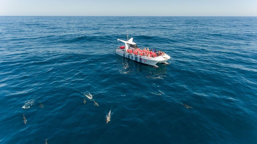 From Albufeira: Dolphins and Caves 2.5-Hour Boat Trip - Key takeaways before you go