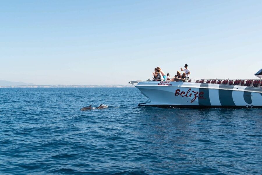 From Albufeira: Dolphins and Caves 2.5-Hour Boat Trip - Timing and seating: how to get better views and stay comfortable
