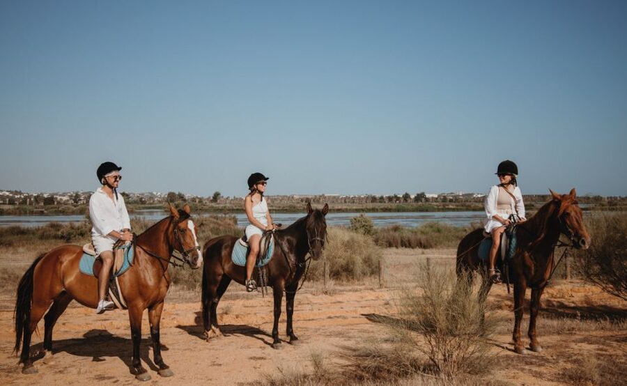 From Albufeira: Half-Day Hidden Gems & Horse Riding Tour - Horse yard arrival: instructions that help even nervous first-timers