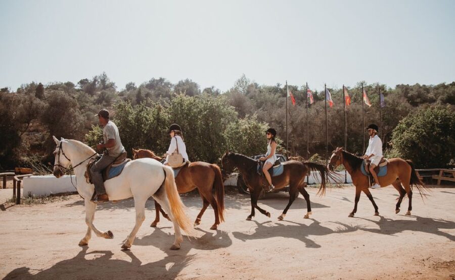 From Albufeira: Half-Day Hidden Gems & Horse Riding Tour - Guides and staff: why the experience earns so many 5-star comments