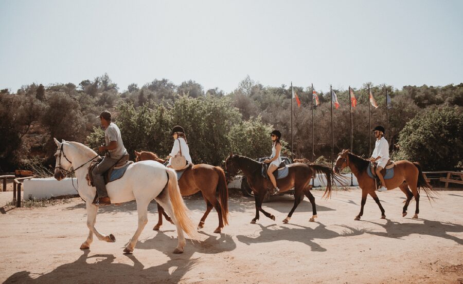 From Albufeira: Horse Riding Tour with Pickup - Horseback in Albufeira, With Lagoon Views as Your Co-Pilot