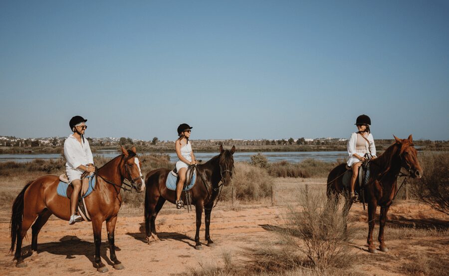 From Albufeira: Horse Riding Tour with Pickup - How Fast Will You Go? Cantering, Galloping, and Guide Safety