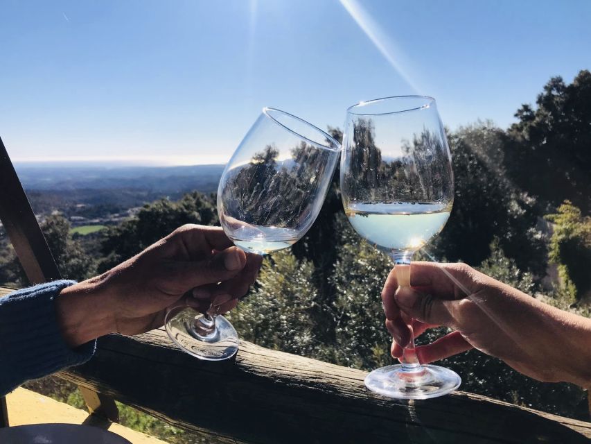 From Albufeira: Wine Tasting & Historic Silves Tour - From Albufeira to Silves, then Wine Country (the “why this works” part)