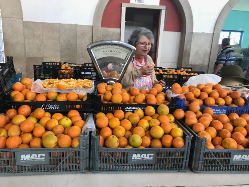 From Albufeira: Wine Tasting & Historic Silves Tour - Time management: what your 4 hours really feel like