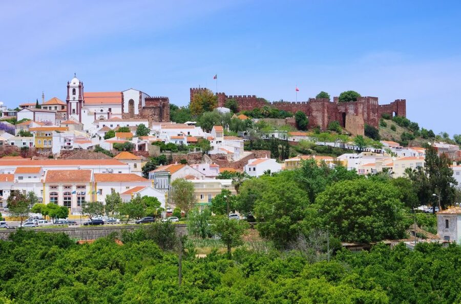 From Albufeira: Wine Tasting & Historic Silves Tour - Price and value: what you’re paying for at about $76 per person