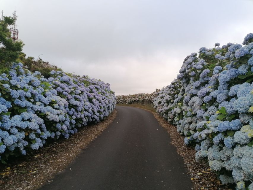From Angra: Terceira Island Full-Day Tour - The cave option: Algar do Carvão and why claustrophobia matters