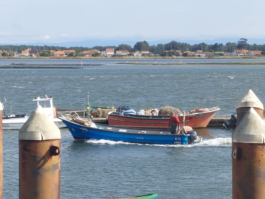 From Aveiro/Ilhavo: Barra, Costa Nova, and Vista Alegre Tour - Capela da Nossa Senhora da Penha de França, azulejos and frescoes in a small space