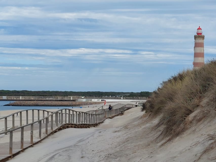 From Aveiro/Ilhavo: Barra, Costa Nova, and Vista Alegre Tour - Should you book this Aveiro side trip?