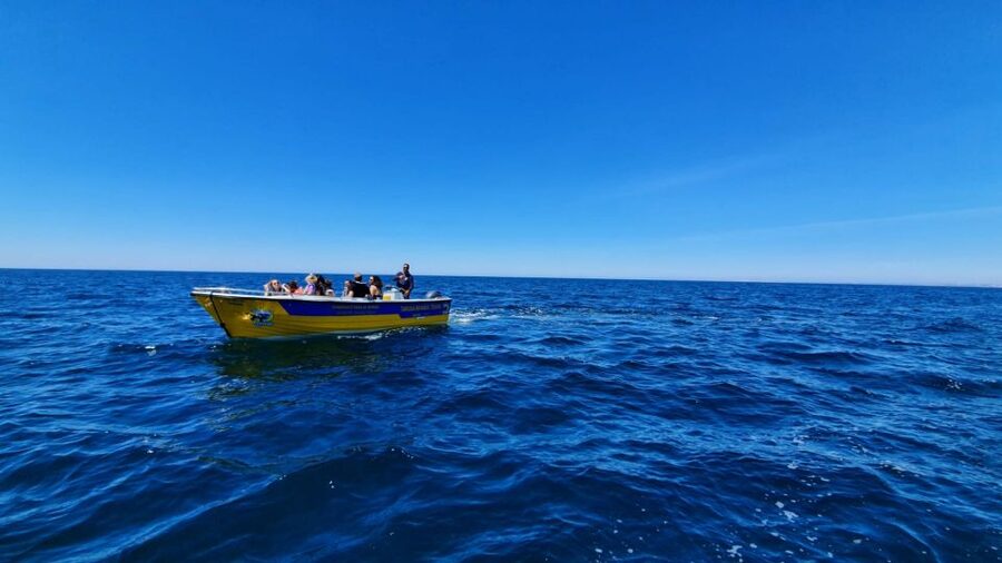 From Benagil: Benagil Cave & Marinha Beach Express Tour - A 30-Minute Boat Express from Benagil Beach