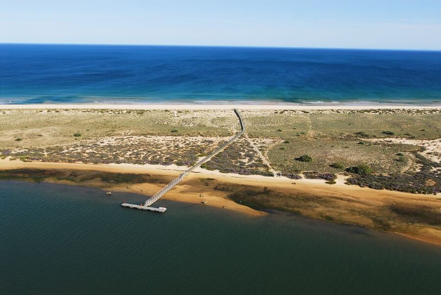 From Cabanas de Tavira: Octopus Route - Key Highlights You Should Care About