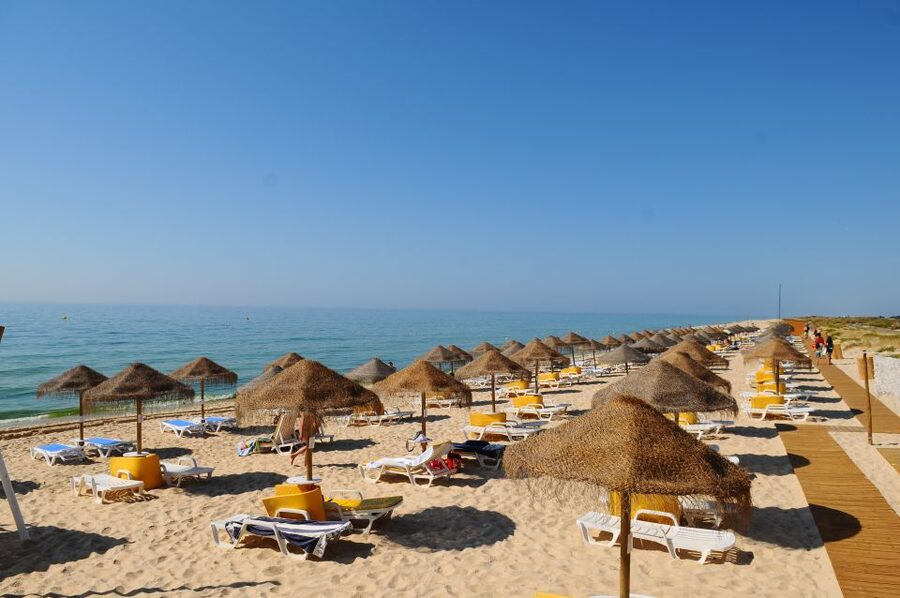 From Cabanas de Tavira: Octopus Route - Who This Tour Is Best For