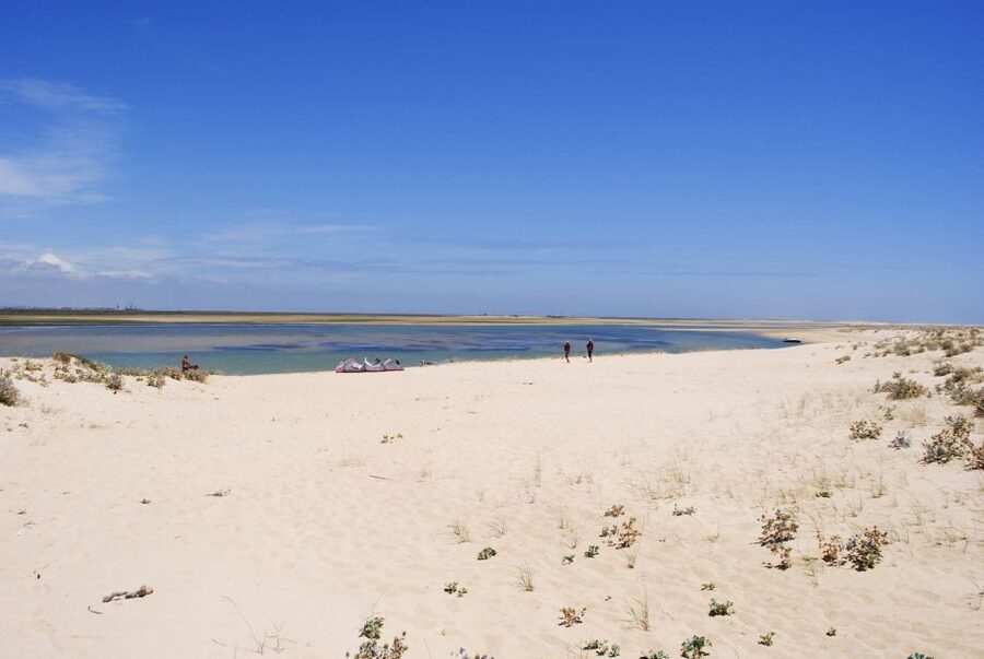 From Faro: 2-Hour Guided Bird Watching Boat Trip - Waders and seasonal timing: what winter brings (and what stays consistent)