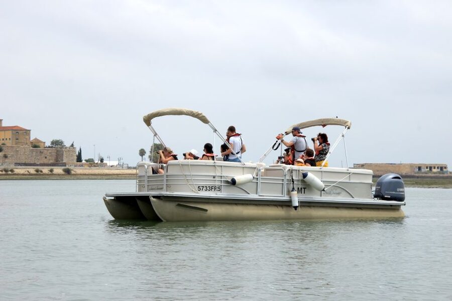 From Faro: 2-Hour Guided Bird Watching Boat Trip - The short deserted beach stop: a 15 to 20 minute breather with better perspective