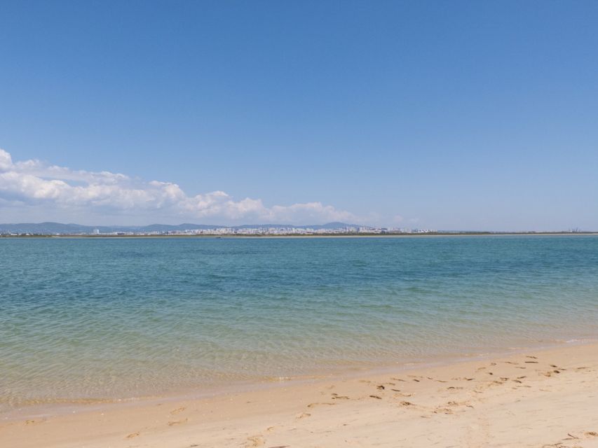 From Faro: 2-Hour Guided Bird Watching Boat Trip - The first stretch through Parque Natural da Ria Formosa: storks, egrets, and spoonbills