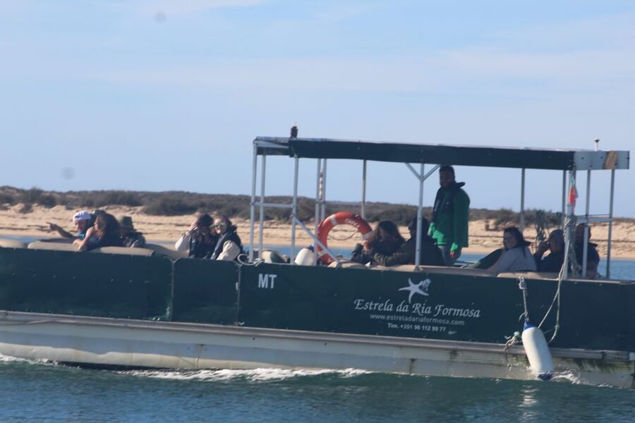 From Faro: 2-Island, 2-Stop Ria Formosa Catamaran Tour - Key points to know before you go