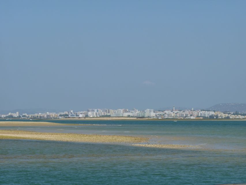 From Faro: 2-Island, 2-Stop Ria Formosa Catamaran Tour - Who this tour suits best, and who might prefer something else