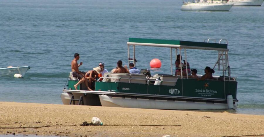 From Faro: 2-Island, 2-Stop Ria Formosa Catamaran Tour - Guided Ria Formosa Natural Park time: birds, sandbars, and tide logic