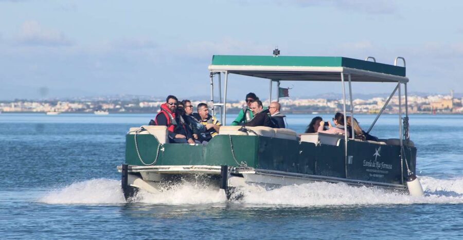 From Faro: 4 Stops, 3 Islands in Ria Formosa Catamaran Tour - How Faro Turns Into a Natural Park Island Day