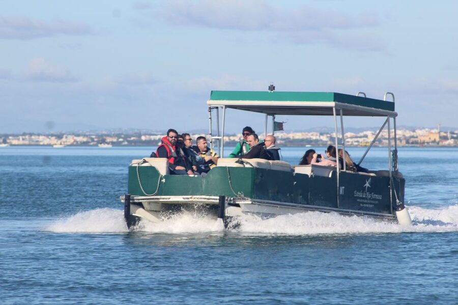From Faro: 4 Stops, 3 Islands in Ria Formosa Catamaran Tour - Stop 1: Ilha Deserta for a Southern Mainland Swim