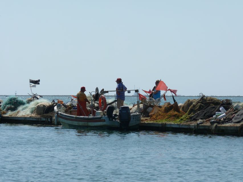 From Faro: 4 Stops, 3 Islands in Ria Formosa Catamaran Tour - Stop 2: Passing the Cape of St. Mary and Hitting Ilha do Farol