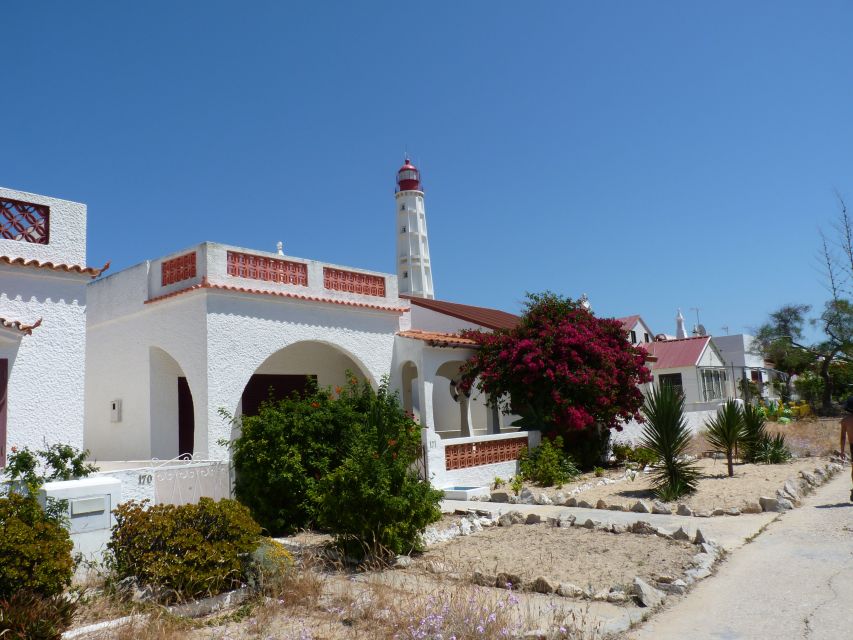 From Faro: 4 Stops, 3 Islands in Ria Formosa Catamaran Tour - Stop 3: Culatra Island Free Time, Fishing Village Energy, and Lunch Options