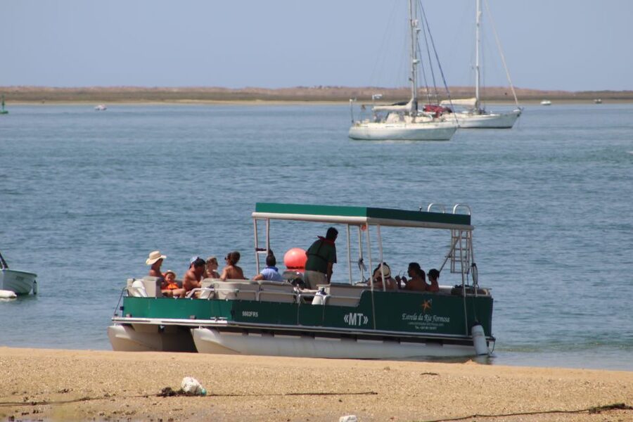 From Faro: 4 Stops, 3 Islands in Ria Formosa Catamaran Tour - Last Stop: Hangares Oyster Farming Viewing That Makes the Taste Make Sense