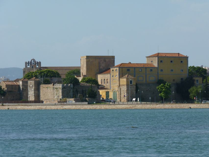 From Faro: 4 Stops, 3 Islands in Ria Formosa Catamaran Tour - Cais da Porta Nova Check-In, Then Straight Into the Seabird Channels