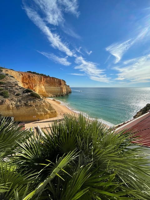 From Faro: Benagil, Algar Seco, 7 Hanging Valleys, & Marinha - Benagil Cave Seen From the Cliffs, Not the Inside