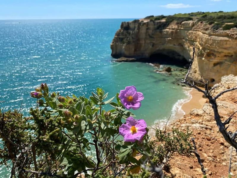 From Faro: Benagil Cave and Seven Hanging Valleys Trail Tour - Benagil Sea Cave: The Circular Opening Photo Moment