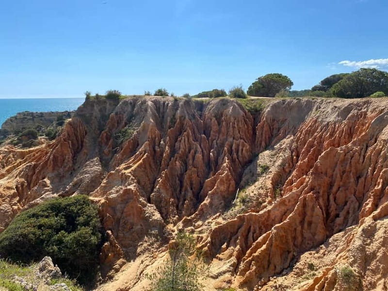 From Faro: Benagil Cave and Seven Hanging Valleys Trail Tour - The Guides Make the Difference: Pedro and Rilany’s Pace and Patience