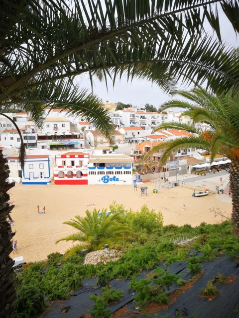 From Faro: Benagil Cave, Marinha & Carvoeiro Full-Day Tour - Guide energy and the best photo stops: João, Geraldine, and others