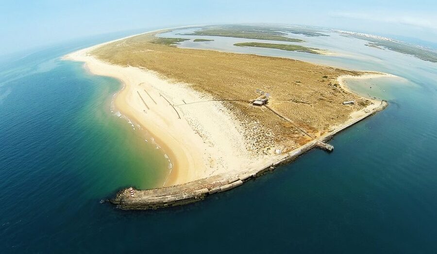 From Faro: Catamaran Boat Trip to Deserta Island with Stop - Price and Value From Faro to Ilha Deserta
