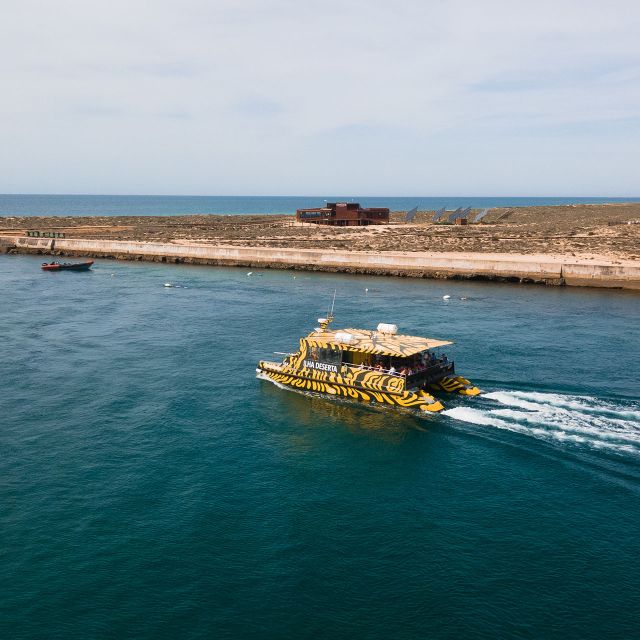 From Faro: Catamaran Boat Trip to Deserta Island with Stop - Getting to Porta Nova Pier in Faro Old Town (The Part That Can Trip You Up)