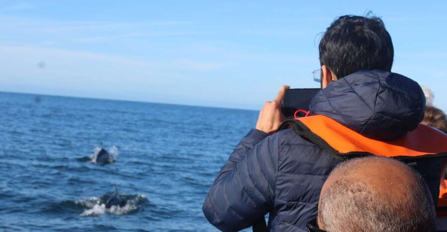 From Faro: Dolphin Watching & 2 Islands Tour - Getting to Cais da Porta Nova, and what the morning is like