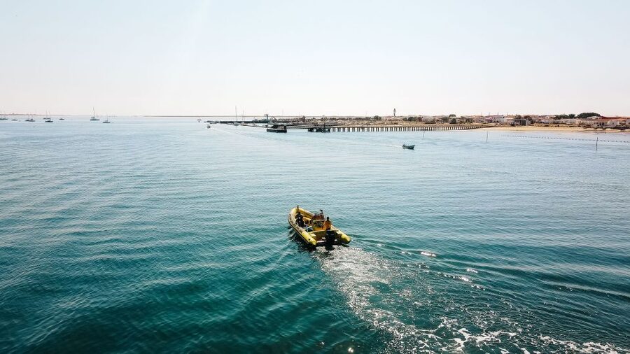 From Faro: Ria Formosa Hop-On Hop-Off 3 Islands Cruise - Why These Ria Formosa Islands Feel Like a Separate World From Faro