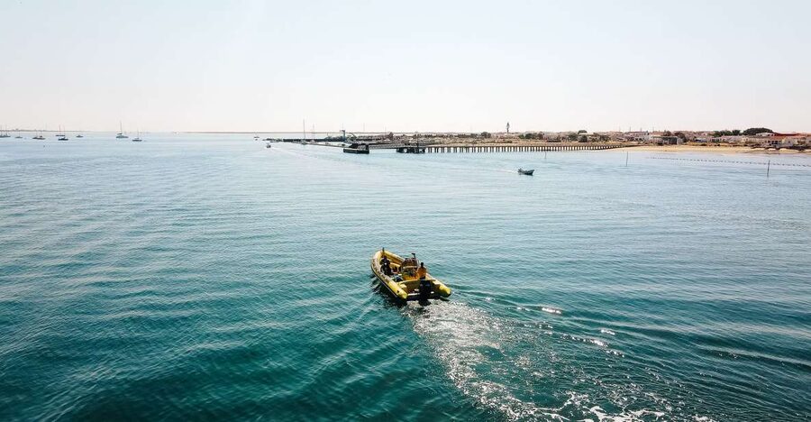 From Faro: Ria Formosa Hop-On Hop-Off 3 Islands Cruise - Barreta Island Pass-By: A Quick Look at the Ria Formosa Mix